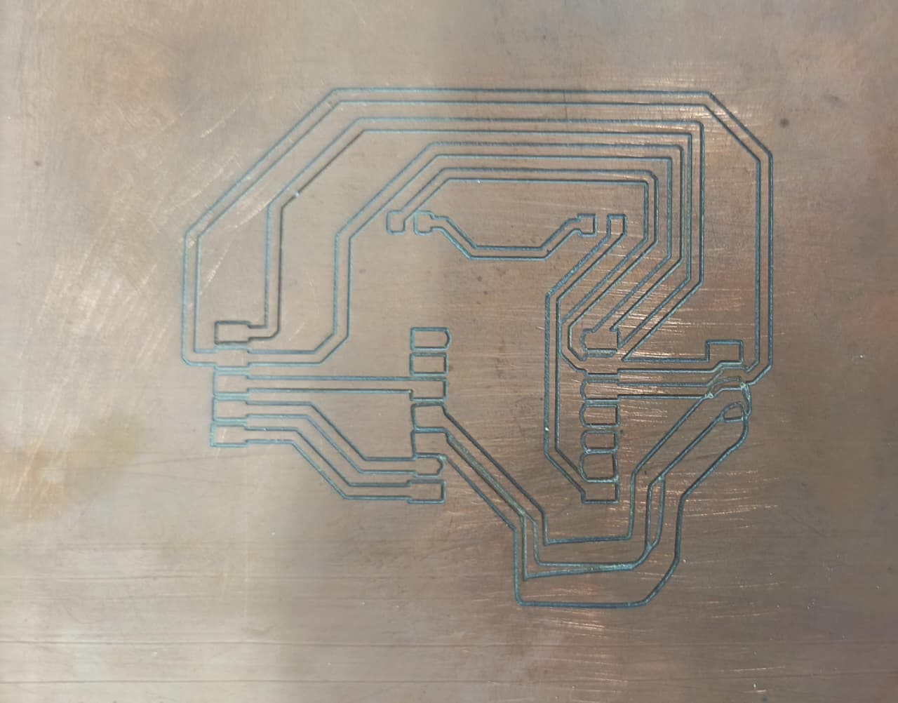 Week 01 Image